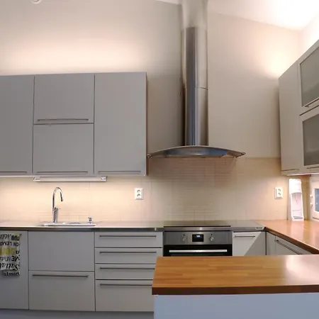 Arctic Fox * Rovaniemi