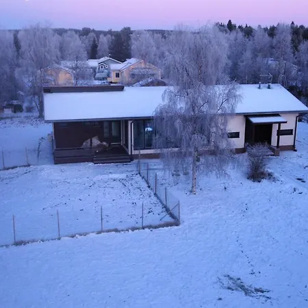 Arctic Fox * Rovaniemi
