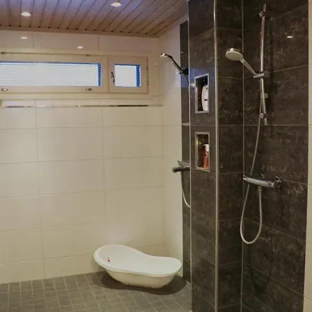 Arctic Fox Rovaniemi